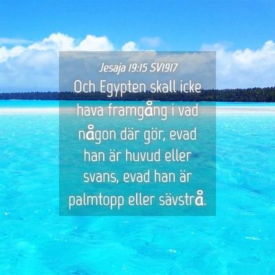 Picture 04 - Jesaja 19:15 SV1917 - Och Egypten skall icke hava framgång i vad - Bible Verse Picture