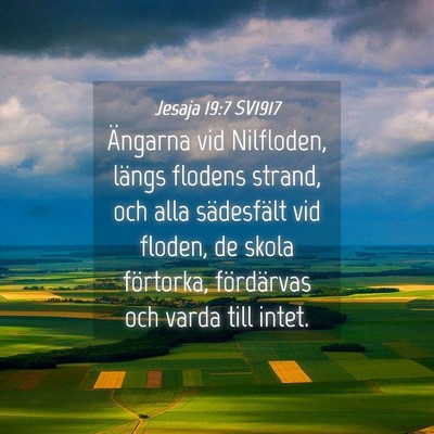 Picture 04 - Jesaja 19:7 SV1917 - Ängarna vid Nilfloden, längs flodens strand, - Bible Verse Picture