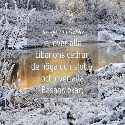 Picture 04 - Jesaja 2:13 SV1917 - ja, över alla Libanons cedrar, de höga och - Bible Verse Picture