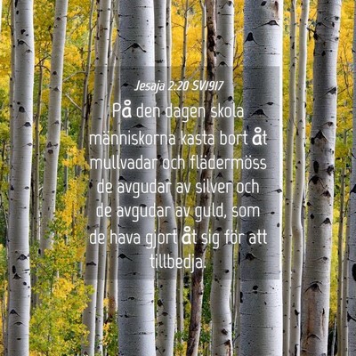 Picture 04 - Jesaja 2:20 SV1917 - På den dagen skola människorna kasta bort åt - Bible Verse Picture