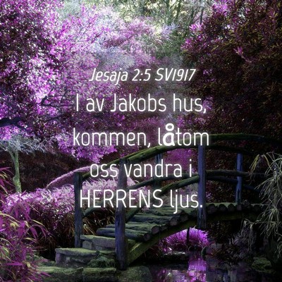 Picture 04 - Jesaja 2:5 SV1917 - I av Jakobs hus, kommen, låtom oss vandra i - Bible Verse Picture