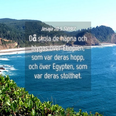 Picture 04 - Jesaja 20:5 SV1917 - Då skola de häpna och blygas över Etiopien, - Bible Verse Picture