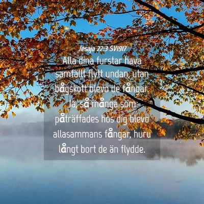 Picture 04 - Jesaja 22:3 SV1917 - Alla dina furstar hava samfällt flytt undan, - Bible Verse Picture