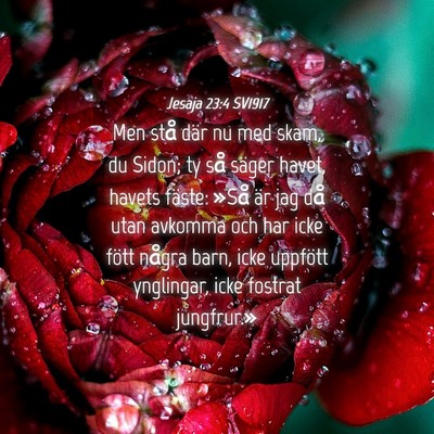 Picture 04 - Jesaja 23:4 SV1917 - Men stå där nu med skam, du Sidon; ty så - Bible Verse Picture