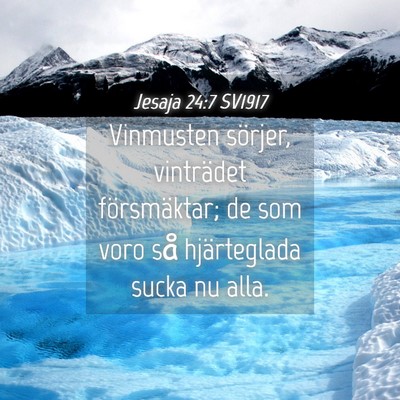 Picture 04 - Jesaja 24:7 SV1917 - Vinmusten sörjer, vinträdet försmäktar; de - Bible Verse Picture