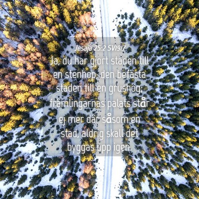 Picture 04 - Jesaja 25:2 SV1917 - Ja, du har gjort staden till en stenhop, den - Bible Verse Picture