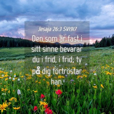 Picture 04 - Jesaja 26:3 SV1917 - Den som är fast i sitt sinne bevarar du i frid, - Bible Verse Picture