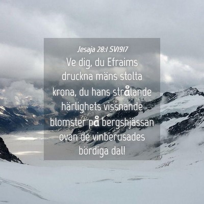 Picture 04 - Jesaja 28:1 SV1917 - Ve dig, du Efraims druckna mäns stolta krona, du - Bible Verse Picture