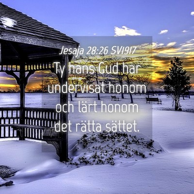 Picture 04 - Jesaja 28:26 SV1917 - Ty hans Gud har undervisat honom och lärt honom - Bible Verse Picture