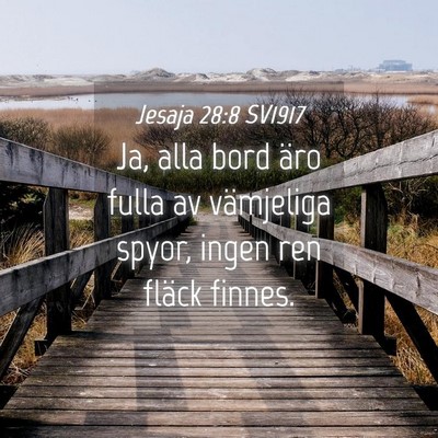 Picture 04 - Jesaja 28:8 SV1917 - Ja, alla bord äro fulla av vämjeliga spyor, - Bible Verse Picture