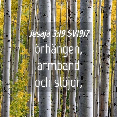 Picture 04 - Jesaja 3:19 SV1917 - örhängen, armband och - Bible Verse Picture