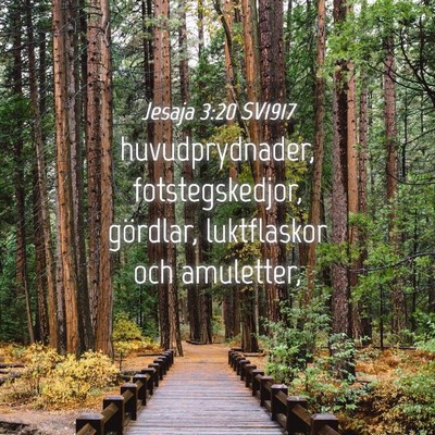 Picture 04 - Jesaja 3:20 SV1917 - huvudprydnader, fotstegskedjor, gördlar, - Bible Verse Picture