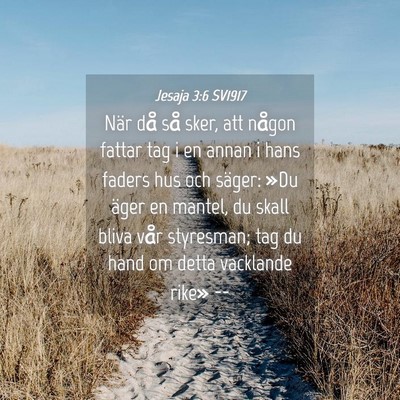 Picture 04 - Jesaja 3:6 SV1917 - När då så sker, att någon fattar tag i en - Bible Verse Picture