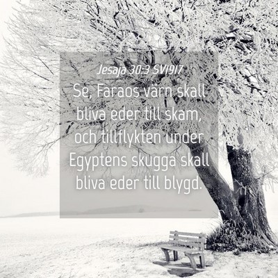 Picture 04 - Jesaja 30:3 SV1917 - Se, Faraos värn skall bliva eder till skam, och - Bible Verse Picture