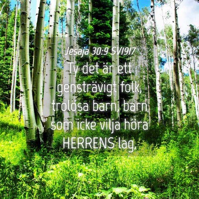 Picture 04 - Jesaja 30:9 SV1917 - Ty det är ett gensträvigt folk, trolösa barn, - Bible Verse Picture