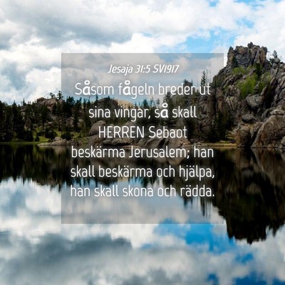 Picture 04 - Jesaja 31:5 SV1917 - Såsom fågeln breder ut sina vingar, så skall - Bible Verse Picture