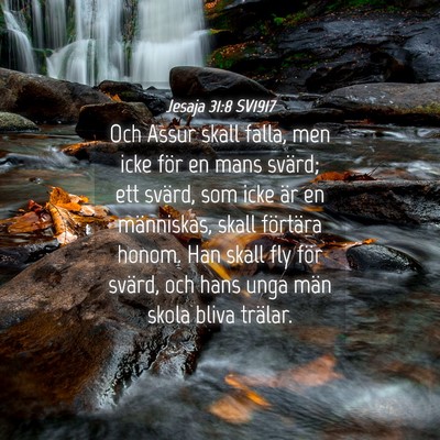 Picture 04 - Jesaja 31:8 SV1917 - Och Assur skall falla, men icke för en mans - Bible Verse Picture