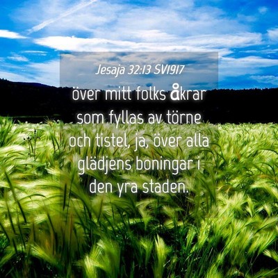 Picture 04 - Jesaja 32:13 SV1917 - över mitt folks åkrar som fyllas av törne och - Bible Verse Picture