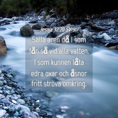 Picture 04 - Jesaja 32:20 SV1917 - Sälla ären då I som fån så vid alla vatten, - Bible Verse Picture