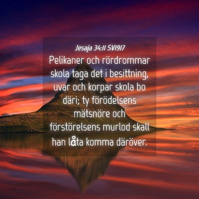 Picture 04 - Jesaja 34:11 SV1917 - Pelikaner och rördrommar skola taga det i - Bible Verse Picture