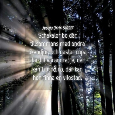 Picture 04 - Jesaja 34:14 SV1917 - Schakaler bo där tillsammans med andra - Bible Verse Picture
