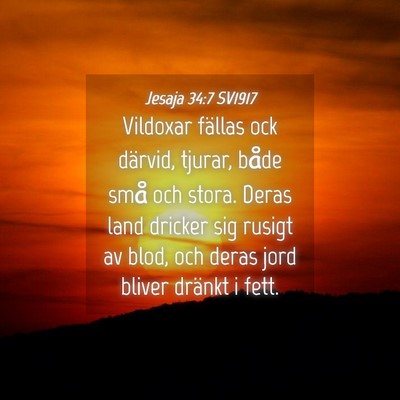 Picture 04 - Jesaja 34:7 SV1917 - Vildoxar fällas ock därvid, tjurar, både små - Bible Verse Picture