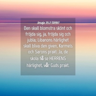 Picture 04 - Jesaja 35:2 SV1917 - Den skall blomstra skönt och fröjda sig, ja, - Bible Verse Picture