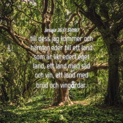 Picture 04 - Jesaja 36:17 SV1917 - till dess jag kommer och hämtar eder till ett - Bible Verse Picture