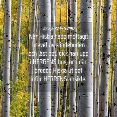 Picture 04 - Jesaja 37:14 SV1917 - När Hiskia hade mottagit brevet av sändebuden - Bible Verse Picture