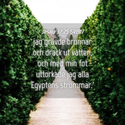 Picture 04 - Jesaja 37:25 SV1917 - jag grävde brunnar och drack ut vatten, och med - Bible Verse Picture