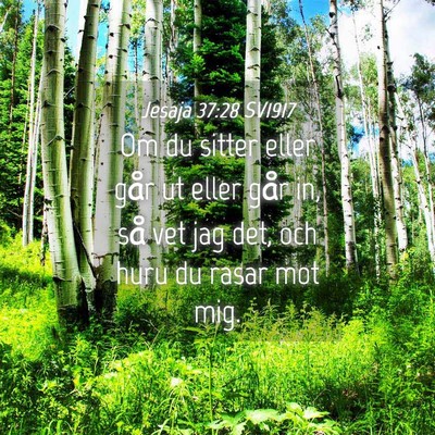 Picture 04 - Jesaja 37:28 SV1917 - Om du sitter eller går ut eller går in, så vet - Bible Verse Picture