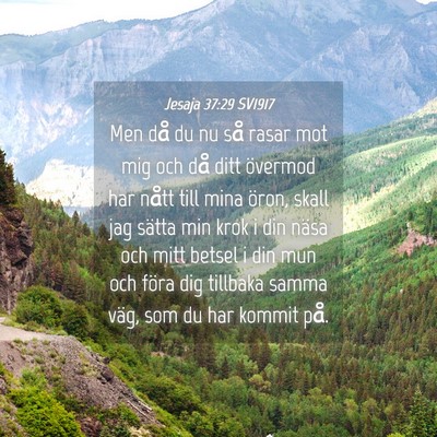 Picture 04 - Jesaja 37:29 SV1917 - Men då du nu så rasar mot mig och då ditt - Bible Verse Picture