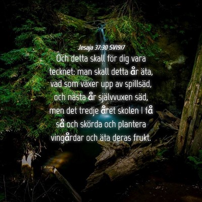 Picture 04 - Jesaja 37:30 SV1917 - Och detta skall för dig vara tecknet: man skall - Bible Verse Picture