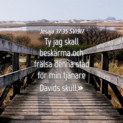 Picture 04 - Jesaja 37:35 SV1917 - Ty jag skall beskärma och frälsa denna stad - Bible Verse Picture