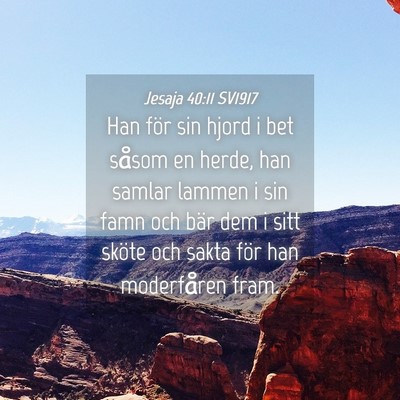Picture 04 - Jesaja 40:11 SV1917 - Han för sin hjord i bet såsom en herde, han - Bible Verse Picture