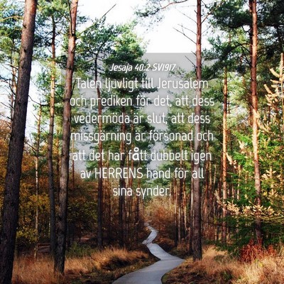 Picture 04 - Jesaja 40:2 SV1917 - Talen ljuvligt till Jerusalem och prediken för - Bible Verse Picture