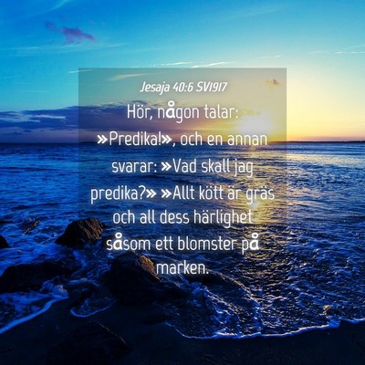 Picture 04 - Jesaja 40:6 SV1917 - Hör, någon talar: »Predika!», och en annan - Bible Verse Picture