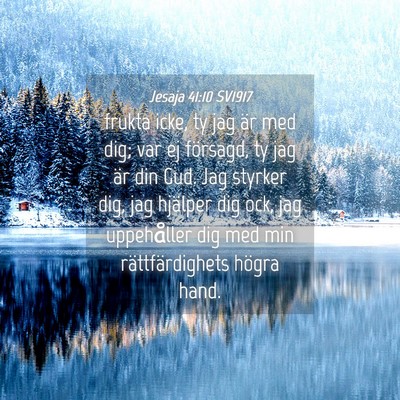 Picture 04 - Jesaja 41:10 SV1917 - frukta icke, ty jag är med dig; var ej försagd, - Bible Verse Picture