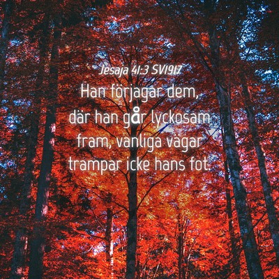 Picture 04 - Jesaja 41:3 SV1917 - Han förjagar dem, där han går lyckosam fram, - Bible Verse Picture