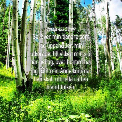 Picture 04 - Jesaja 42:1 SV1917 - Se, över min tjänare som jag uppehåller, min - Bible Verse Picture