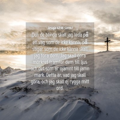 Picture 04 - Jesaja 42:16 SV1917 - Och de blinda skall jag leda på en väg som de - Bible Verse Picture