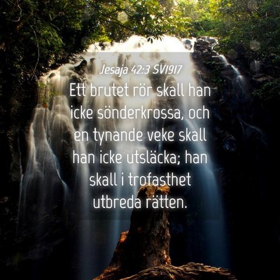 Picture 04 - Jesaja 42:3 SV1917 - Ett brutet rör skall han icke sönderkrossa, och - Bible Verse Picture