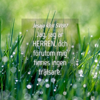 Picture 04 - Jesaja 43:11 SV1917 - Jag, jag är HERREN, och förutom mig finnes - Bible Verse Picture