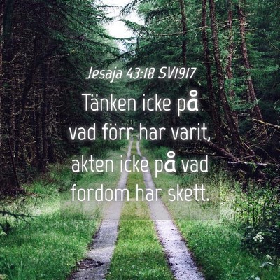 Picture 04 - Jesaja 43:18 SV1917 - Tänken icke på vad förr har varit, akten icke - Bible Verse Picture