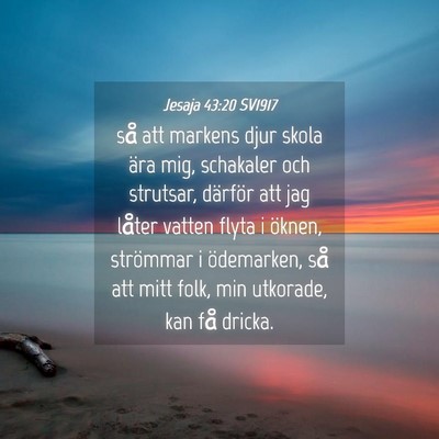 Picture 04 - Jesaja 43:20 SV1917 - så att markens djur skola ära mig, schakaler - Bible Verse Picture
