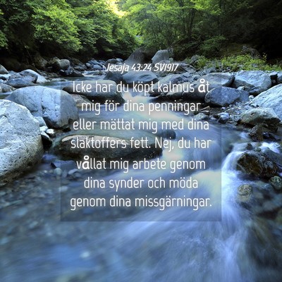 Picture 04 - Jesaja 43:24 SV1917 - Icke har du köpt kalmus åt mig för dina - Bible Verse Picture