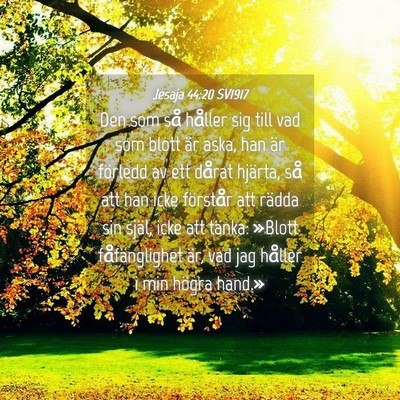 Picture 04 - Jesaja 44:20 SV1917 - Den som så håller sig till vad som blott är - Bible Verse Picture
