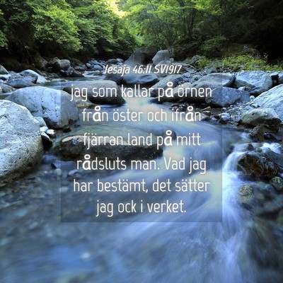 Picture 04 - Jesaja 46:11 SV1917 - jag som kallar på örnen från öster och ifrån - Bible Verse Picture
