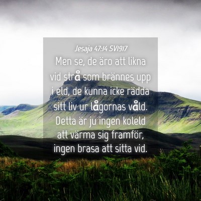 Picture 04 - Jesaja 47:14 SV1917 - Men se, de äro att likna vid strå som brännes - Bible Verse Picture
