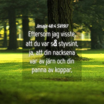 Picture 04 - Jesaja 48:4 SV1917 - Eftersom jag visste, att du var så styvsint, ja, - Bible Verse Picture
